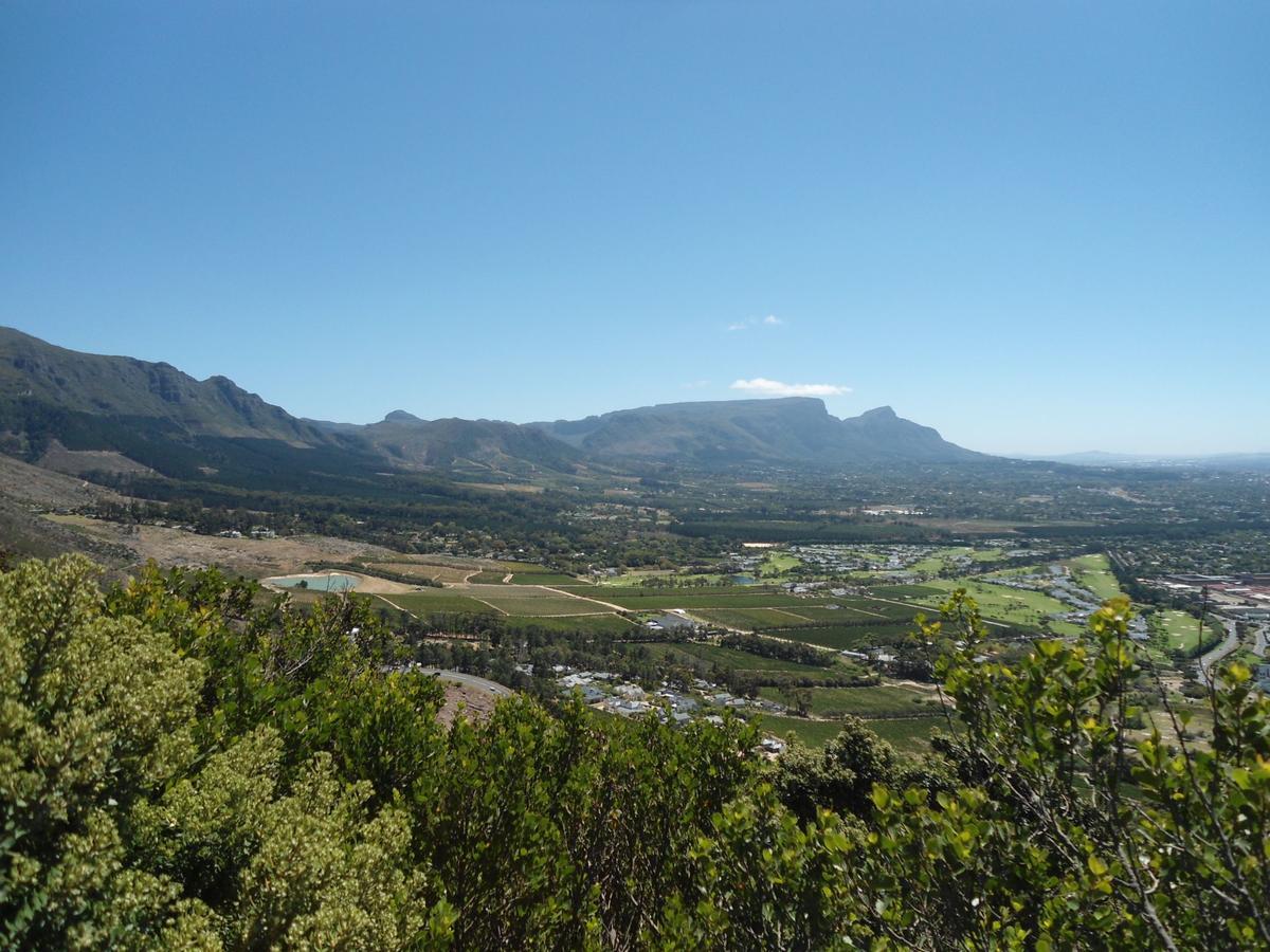 Constantia Cottages Εξωτερικό φωτογραφία